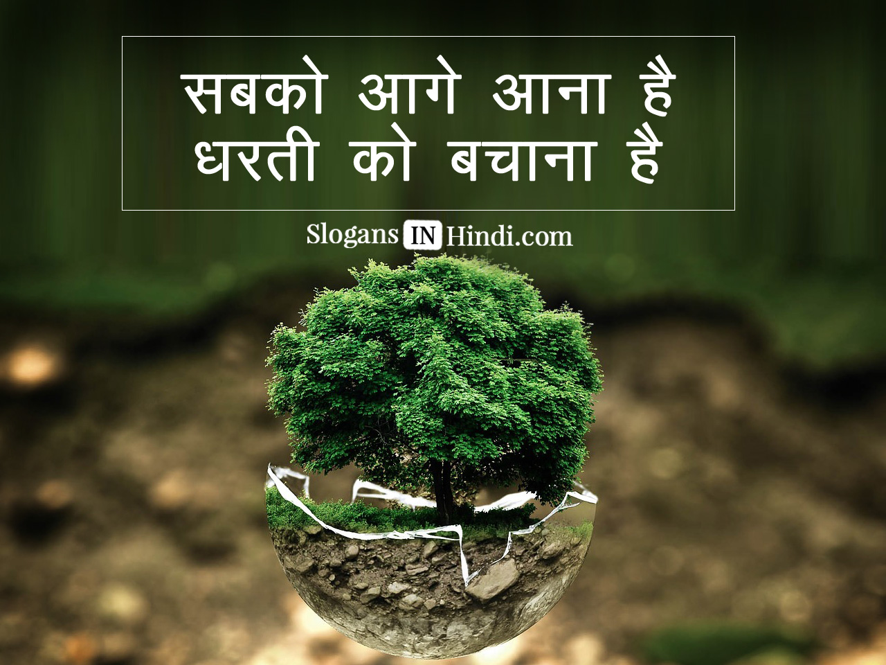 Plant Trees Save Earth Slogans In Hindi Food Ideas